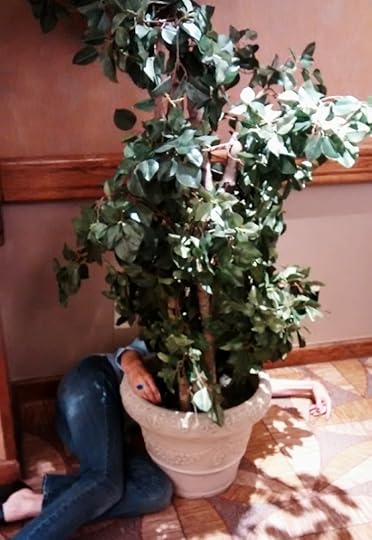 plant