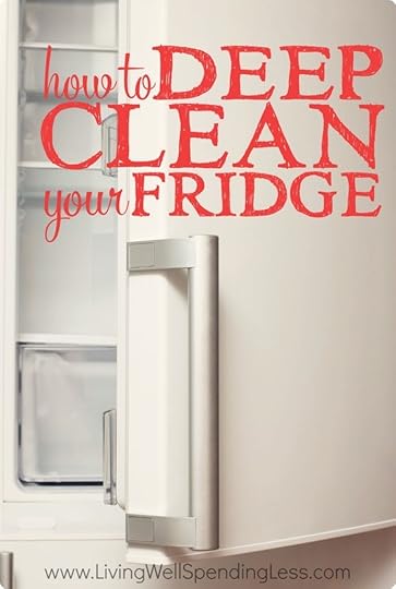 Clean Fridge Vertical
