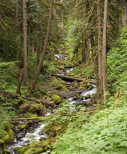 Multnomah Creek, Oregon