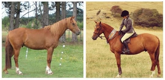 JJ transformation Tuesday