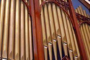 Organ
