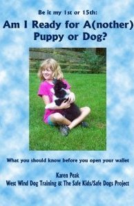 Paperback_book_cover