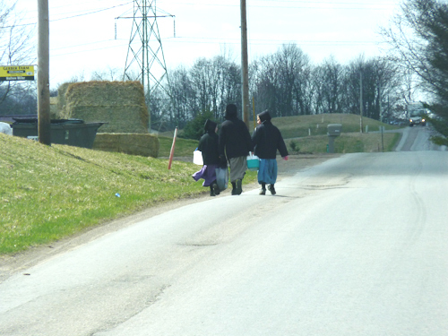 Spring-129