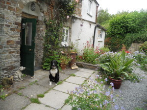 Chappels-29.6.13.010