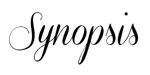 synopsis2