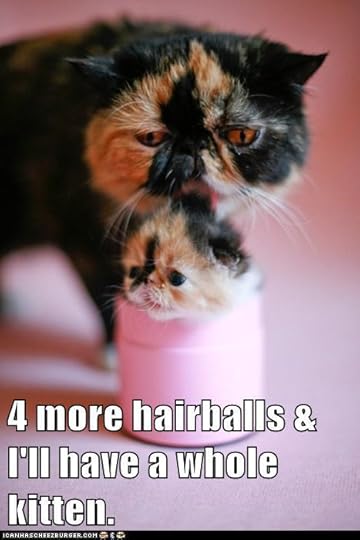 4 more hairballs & I'll have a whole kitten.