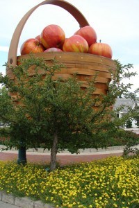 1bc7ab645271cfa428590da0ebbb1a2d