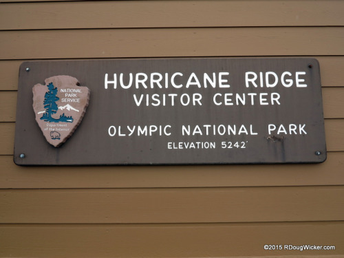 Hurricane Ridge-016