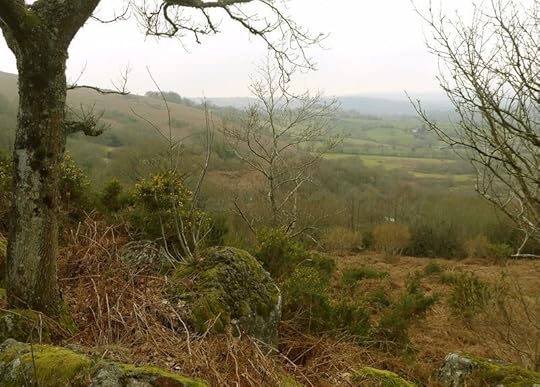 Hillside 1