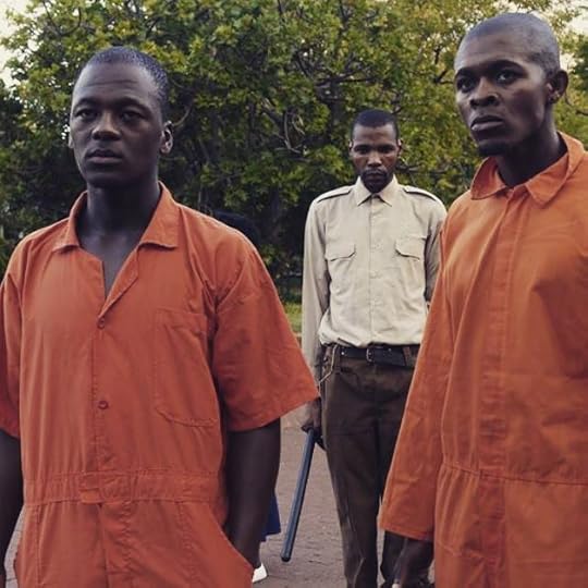 11060845_416358075198232_7772532630593274340_n