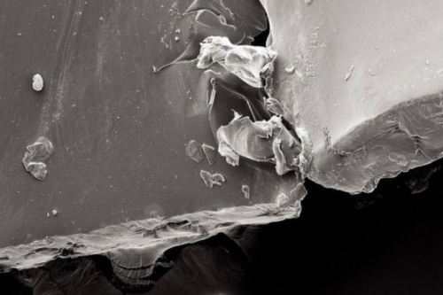 �� Joshua Lake and Jake Evans, photography