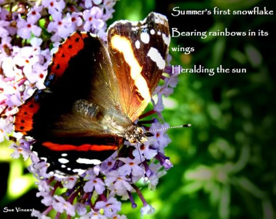 Summer’s first snowflake Bearing rainbows in its wings Heralding the sun