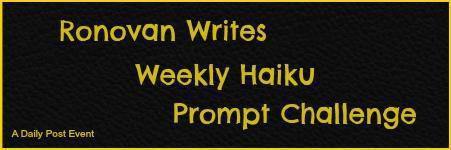 RonovanWrites_Vashti Quiroz-Vega_writers