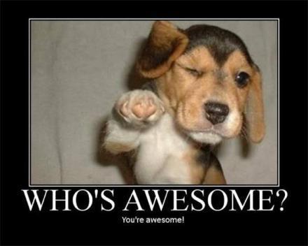 Yahoo Image Search