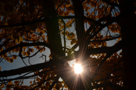 Picture courtesy of Arthur Rousseau