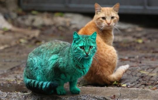 Green cat