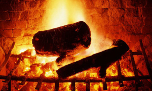 firenew