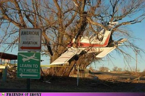 0AFB8838633844E588DF90F9F3DD7B5E