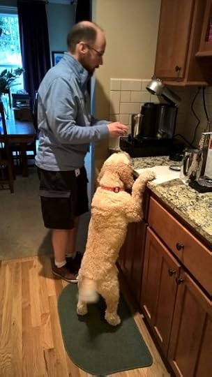 WP_20150318_08_03_41_Pro