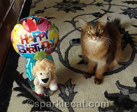 Where are the birthday treats?