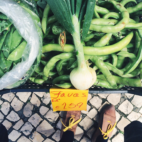 favas 2015