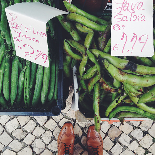 favas 2014