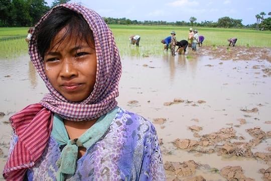 rice-farmer-cambodia