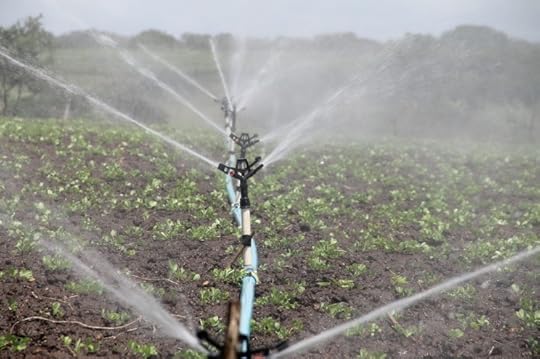 Irrigation. CC0 via Pixabay.