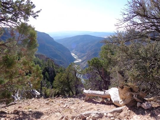 Back in Colorado at end of Harpers Corner trail in Dinosaur National monument. Looking down at the land that Stegner helped save.