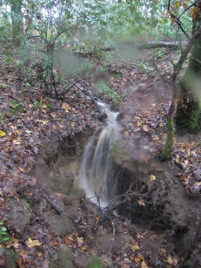 Water on its way to Dry Creek.