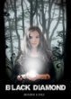 BLACK DIAMOND (McLean Twins Book 1)