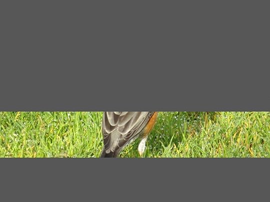 VancouverBC_IMG_1832_2014-04-30_quiz