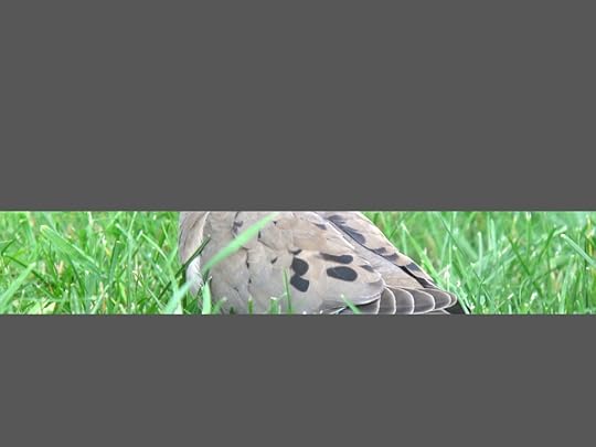 AlpineNY_IMG_2206_2013-06-29_quiz