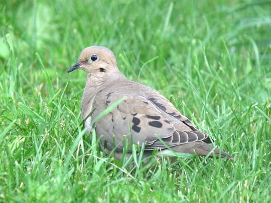 AlpineNY_IMG_2206_2013-06-29_quizanswer