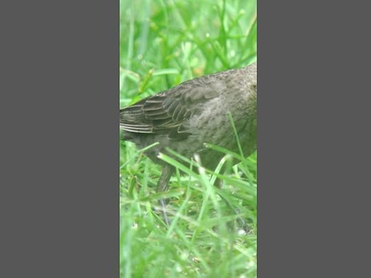 AlpineNY_IMG_1711_2013-06-28_quiz