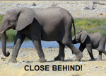 close behind