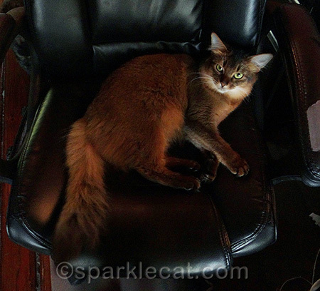 Usually I want to share the chair, but not always!