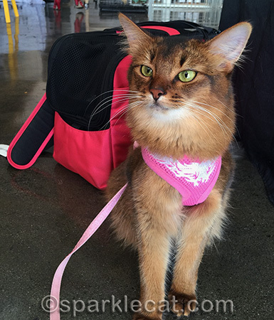Don't I look ready to hit the road?