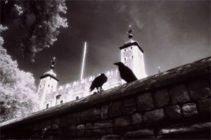 durham