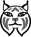 LynxFace-final-sm