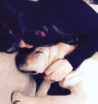 Momenti di estrema dolcezza prima della ferocia