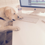 Voglio scriverlo che non giochi con me e lavori sempre