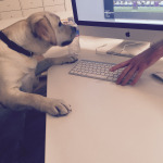 Non togliermi la tastiera pap��! Il mondo deve sapere!