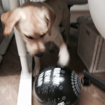 Foto 30-12-14 17 26 26