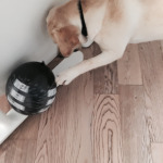 Foto 30-12-14 17 27 20