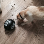 Foto 30-12-14 17 27 27