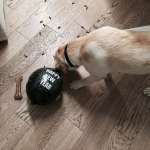 Foto 30-12-14 17 27 28