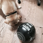 Foto 30-12-14 17 27 53