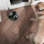 Foto 30-12-14 17 28 19