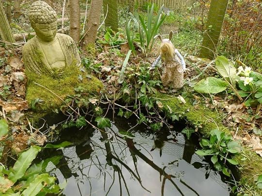 Frog pond